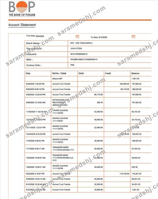 Pakistan Bank of Punjab account statement Word and PDF template